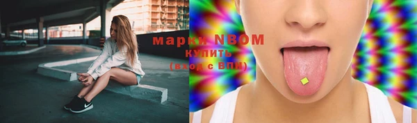 хмурый Алексеевка
