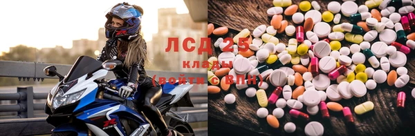 герыч Алексин