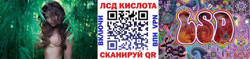 Наркотические марки 1,8мг  наркотики  Ядрин 