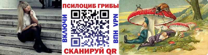 blacksprut ССЫЛКА  Ядрин  Галлюциногенные грибы MAGIC MUSHROOMS 